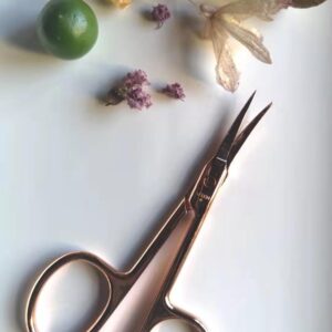 Metal Scissors